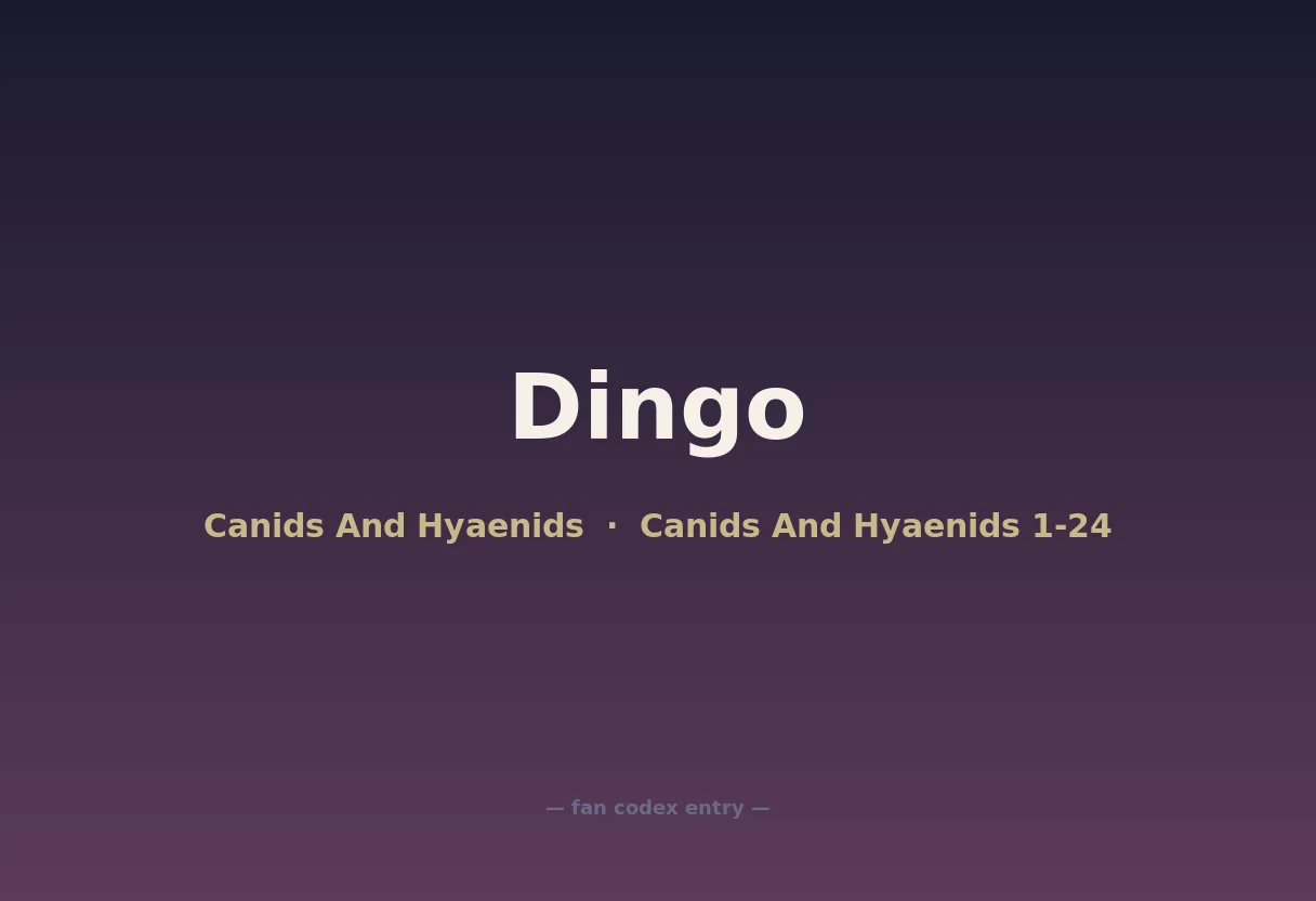 Dingo