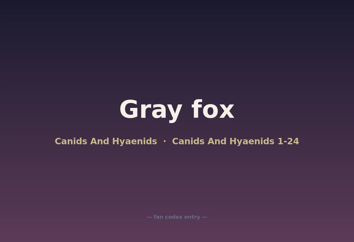 Gray fox
